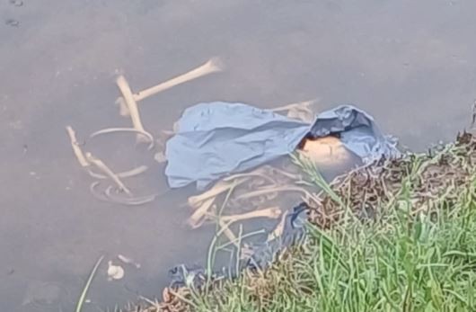 Macabro hallazgo en un arroyo de González Catán: huesos humanos en una bolsa | Actualidad