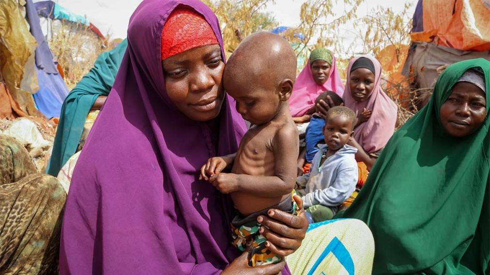 Casi 282 millones de personas pasan hambre en África por crisis alimentaria "sin precedentes" | Internacionales