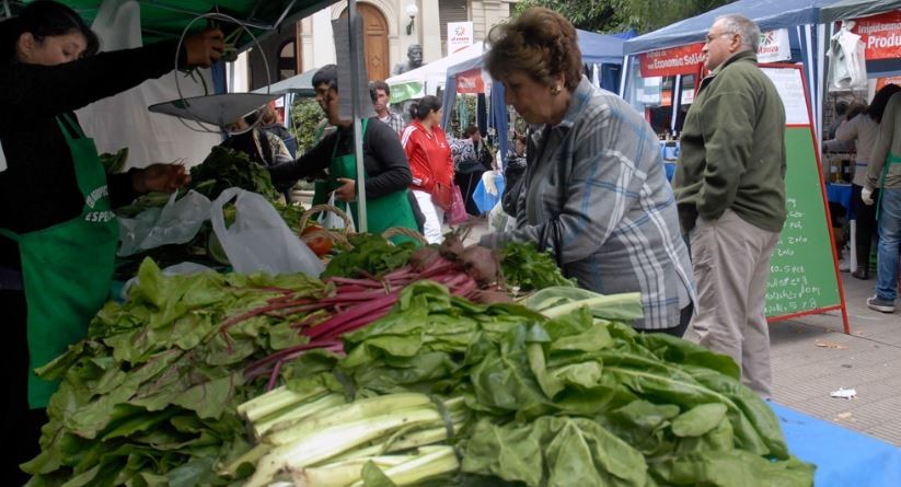 Detectaron una alta concentración de parásitos en verduras del cordón hortícola de La Plata | Actualidad