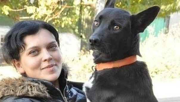 Shavi, la perra que recorrió 320 kilómetros para reencontrarse con la mujer que salvó su vida | Curiosidades