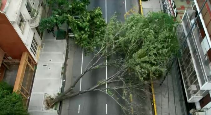 La Ciudad estableció un subsidio para los damnificados por el temporal | Actualidad