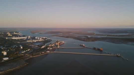 Ambientalistas calificaron como "muy grave" el derrame de petróleo en estuario de Bahía Blanca | Clima, naturaleza y medio ambiente