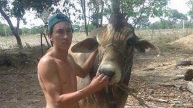 ¿Es un unicornio? : sorpresa en Brasil por la aparición de un toro con un solo cuerno | Curiosidades