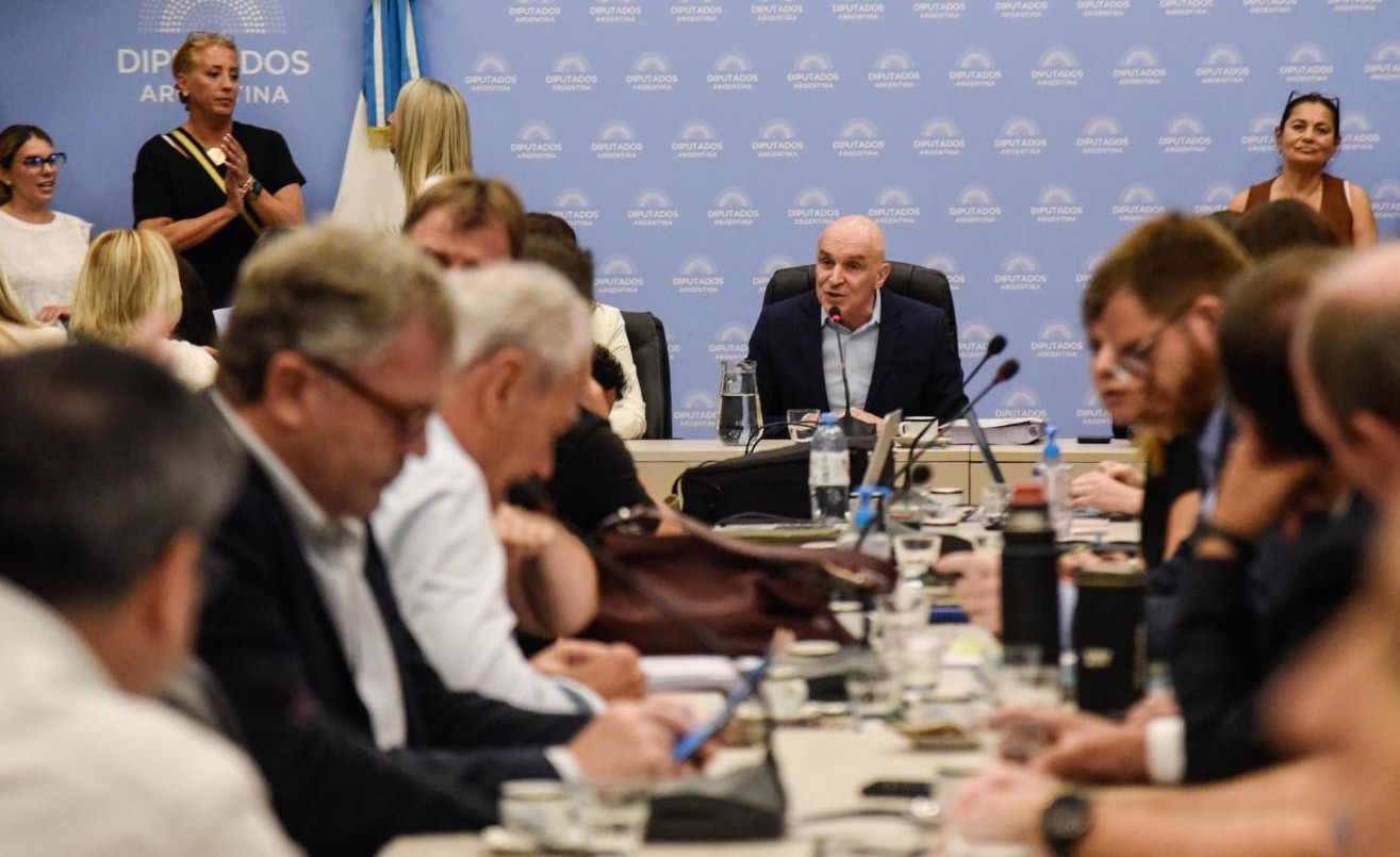 El Congreso empieza a discutir la ley ómnibus: para Espert, los bloques apoyarán "con modificaciones" | Política