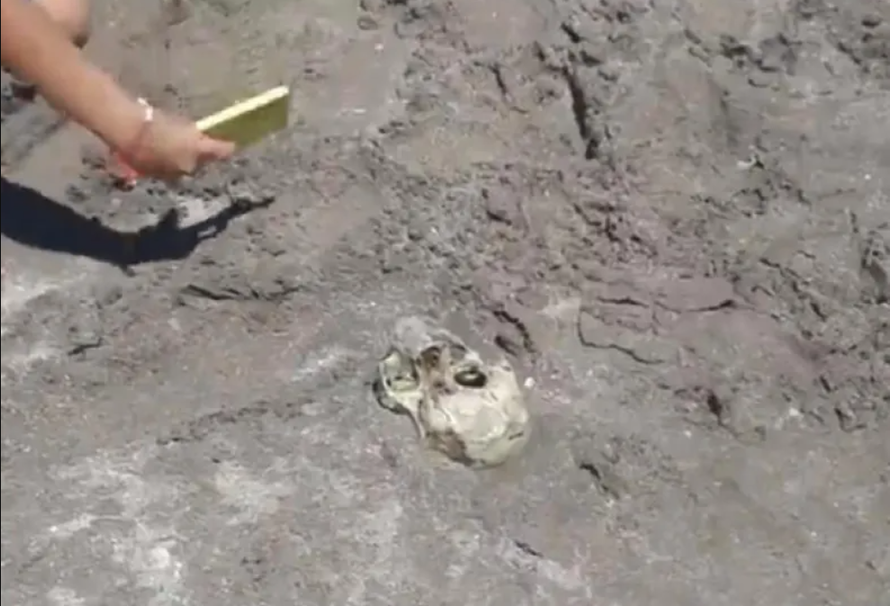 Horror en Mar del Plata: nenes jugaban en la playa y hallaron un cráneo humano | Actualidad