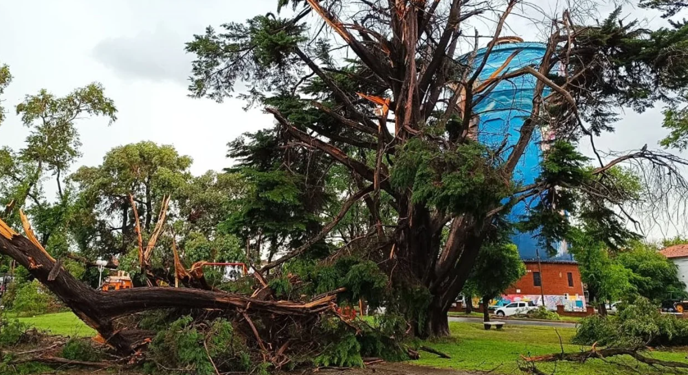 Temporal trágico en Miramar: le robaron a una de las víctimas cuando estaba tirada e inconsciente | Actualidad