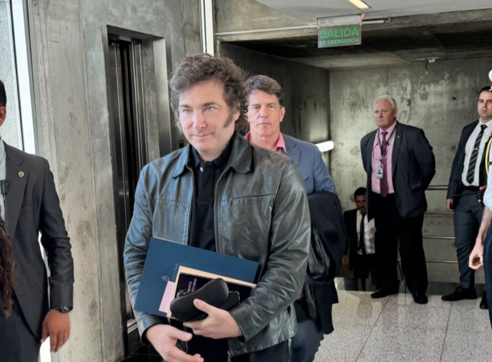 Agenda bilateral: en Davos, Milei se reunirá con el canciller británico David Cameron | Política