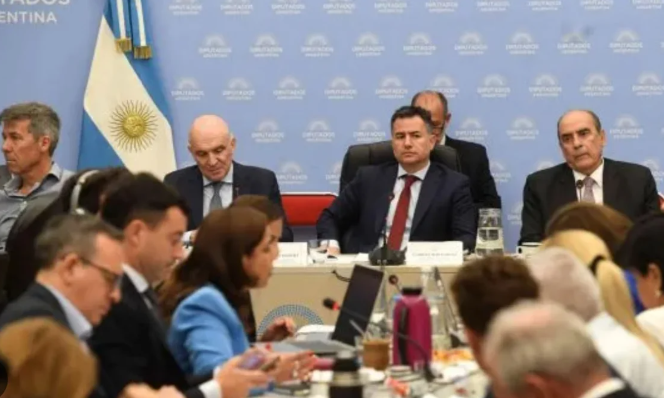 Para salvar la Ley Ómnibus, el oficialismo espera un guiño de la Rosada a la oposición "amigable" | Política