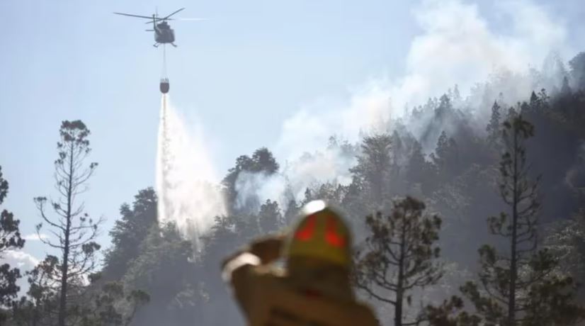 Chubut: el incendio en Parque Los Alerces está fuera de control y ya arrasó 65 hectáreas | Actualidad