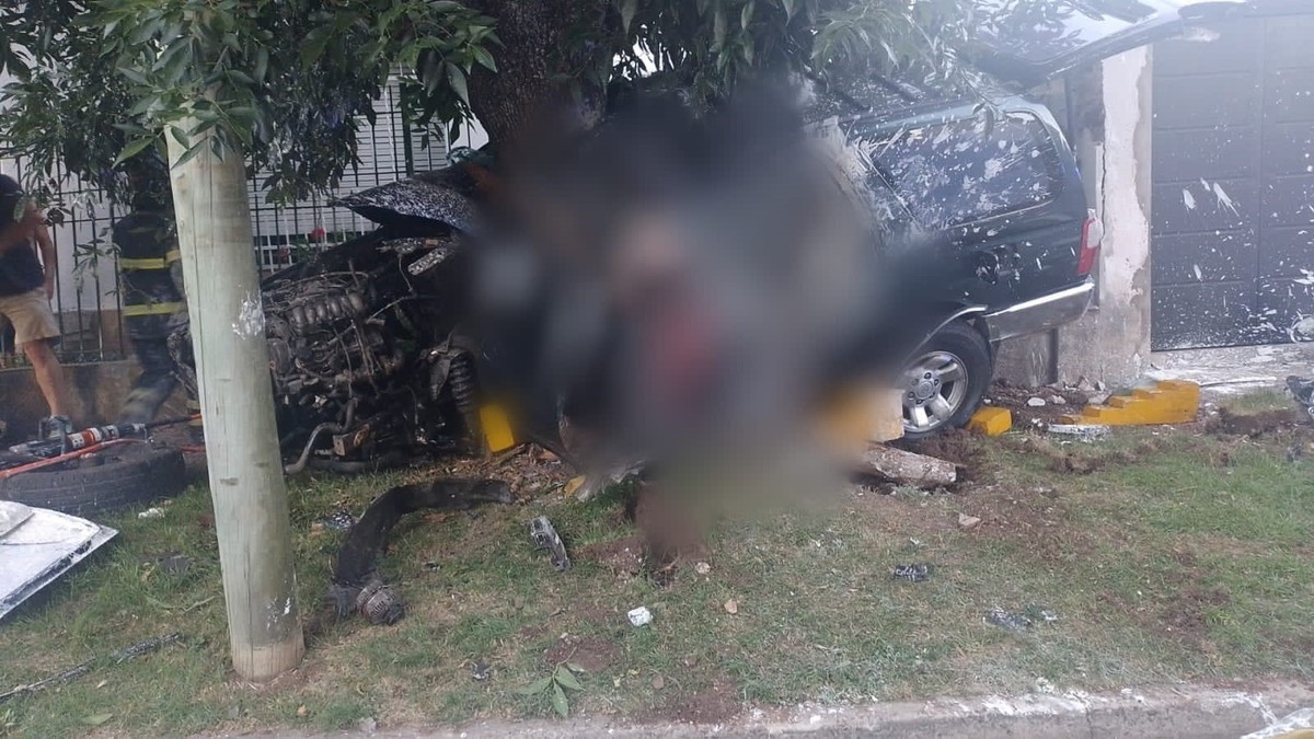 Tres delincuentes murieron tras robar una camioneta en Quilmes y chocar contra un árbol | Actualidad