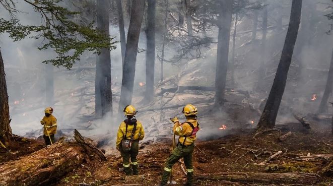 El fuego en el Parque Nacional Los Alerces ya arrasó con 2.300 hectáreas de bosque nativo | Actualidad
