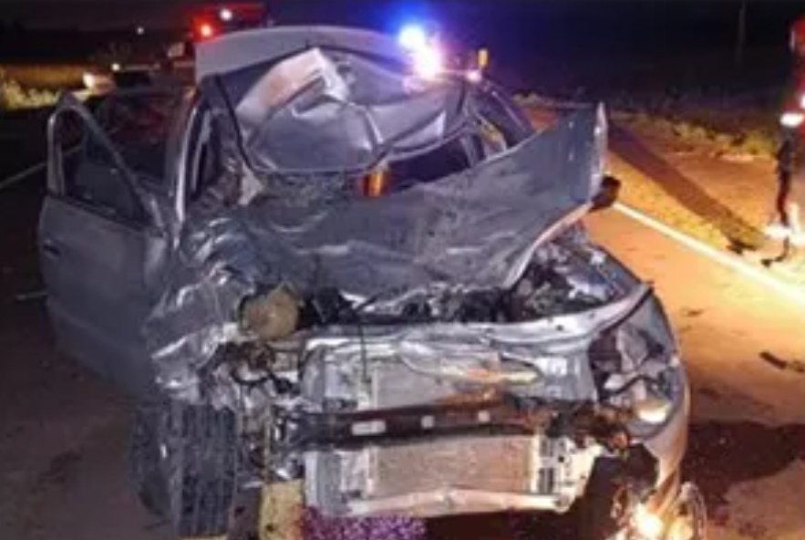 Chocaron contra un búfalo en la ruta en Entre Ríos | Actualidad