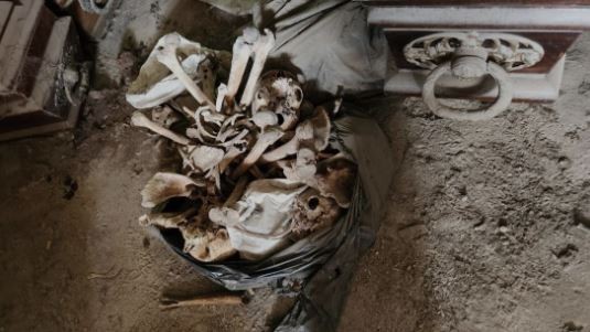 Denuncian el hallazgo de otras 2.000 bolsas con restos humanos en el cementerio de La Plata | Actualidad