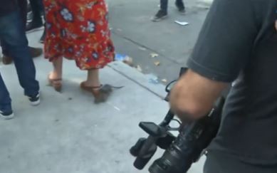 El insólito momento que vivió Jorge Macri durante una nota: apareció una rata y espantó a todos | Política