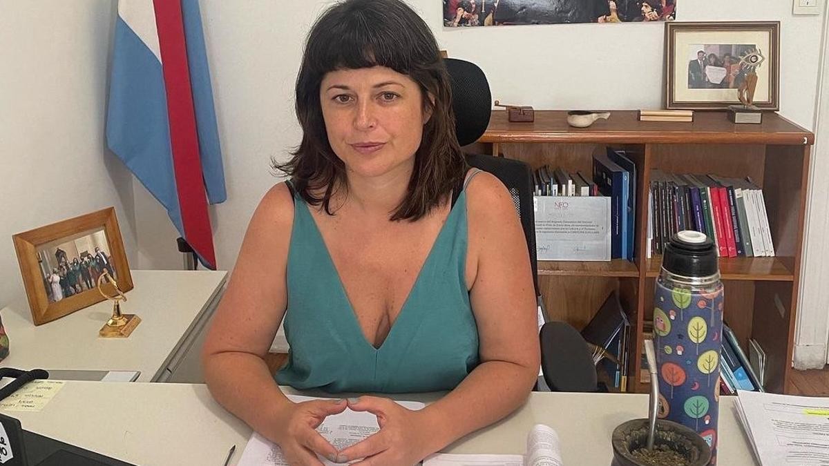 La picante reacción de una diputada kirchnerista en la bicameral de DNU: "¡Déjense de hacer los pelotudos!" | Política