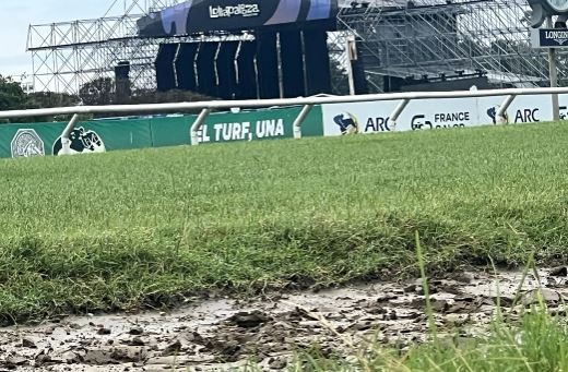 Las intensas lluvias y el pronóstico del tiempo inquietan a los que compraron tickets del Lollapalooza | Espectáculos