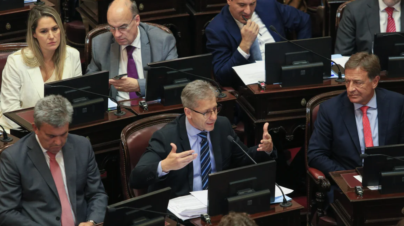 "Si lo hubieran mandado por separado...": la justificación de senadores radicales tras el rechazo al DNU | Política