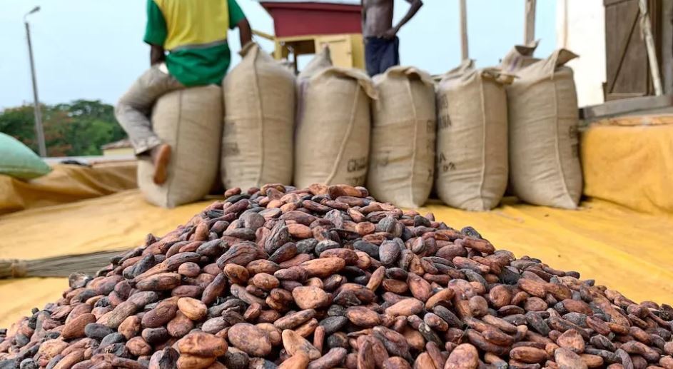Escasez de cacao: El precio del chocolate se disparará en todo el mundo | Economía