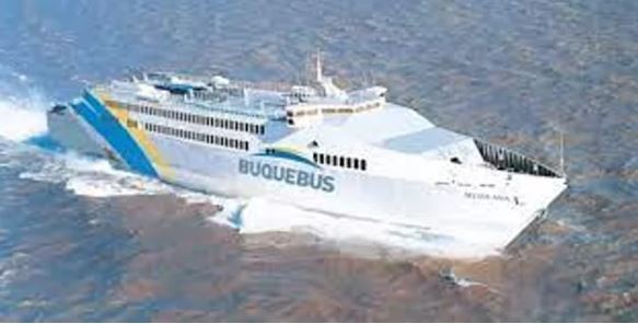 Detectaron en una camioneta en Buquebus monedas de oro sin declarar por casi $50 millones | Actualidad