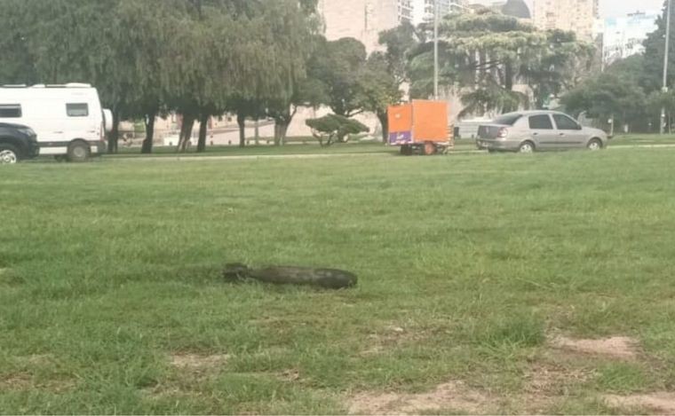 Rosario: Encuentran un artefacto explosivo en el río, frente al Monumento a la Bandera | Actualidad