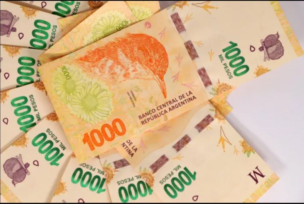 Otro fuerte superávit comercial en febrero permitió reforzar la balanza de pagos | Economía