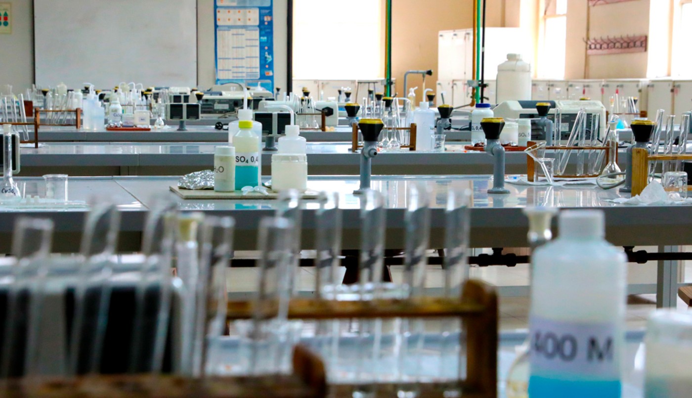 Investigadores de la UBA lograron que bacterias produjeran nanocelulosa | Actualidad