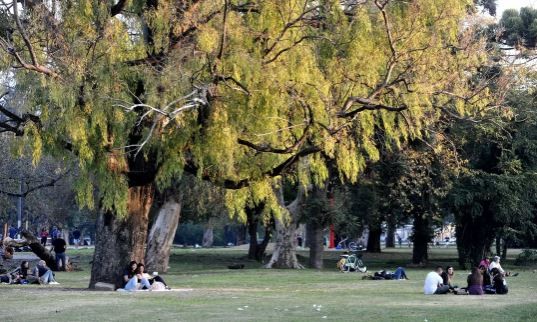 Una joven murió luego de desvanecerse mientras trotaba en La Plata: “Fue desesperante” | Actualidad