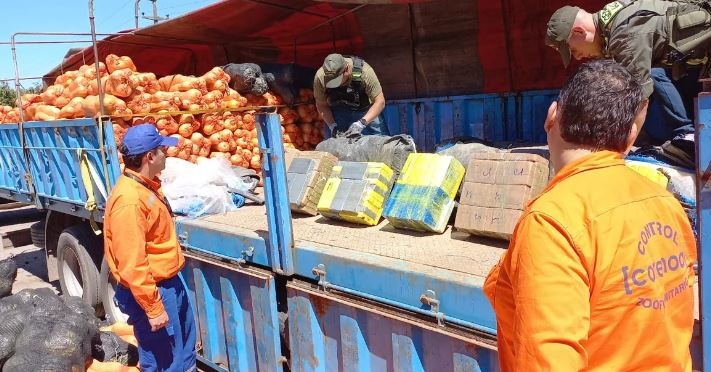 Salta: incautaron un cargamento récord de 861 kilos de cocaína ocultos en zapallos | Actualidad