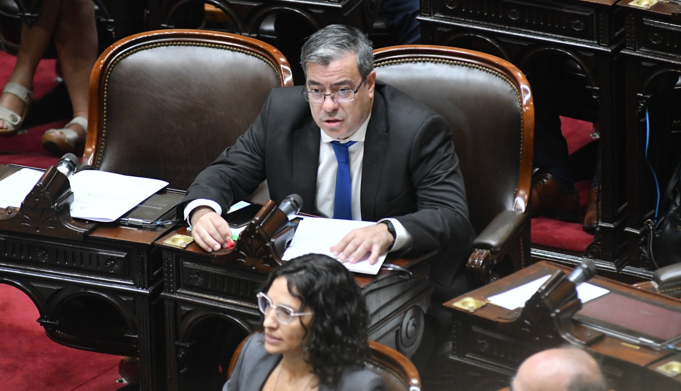 Germán Martínez: "La estrategia parlamentaria de La Libertad Avanza es un fracaso" | Política