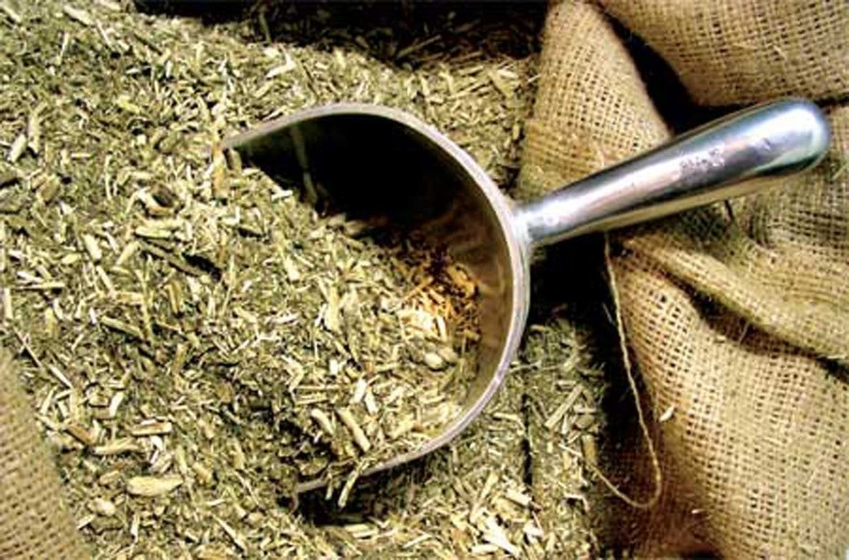 Llega a su fin el precio regulado de la yerba mate | Economía