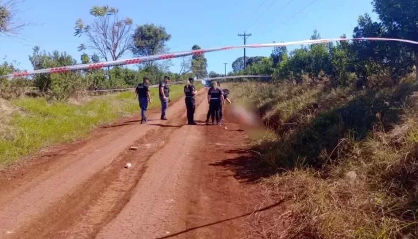 Misiones: dos pitbull se escaparon, mataron a un hombre de 64 años y atacaron a la Policía que llegó al lugar | Actualidad