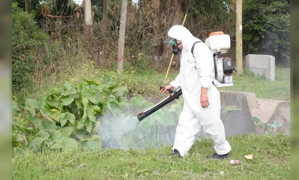 Dos personas murieron en la calle: sus familiares aseguraron que tenían dengue | Actualidad