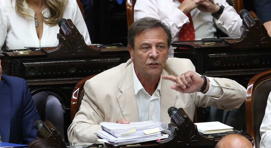 Quiebre del oficialismo en Diputados: Zago armó un nuevo bloque | Política