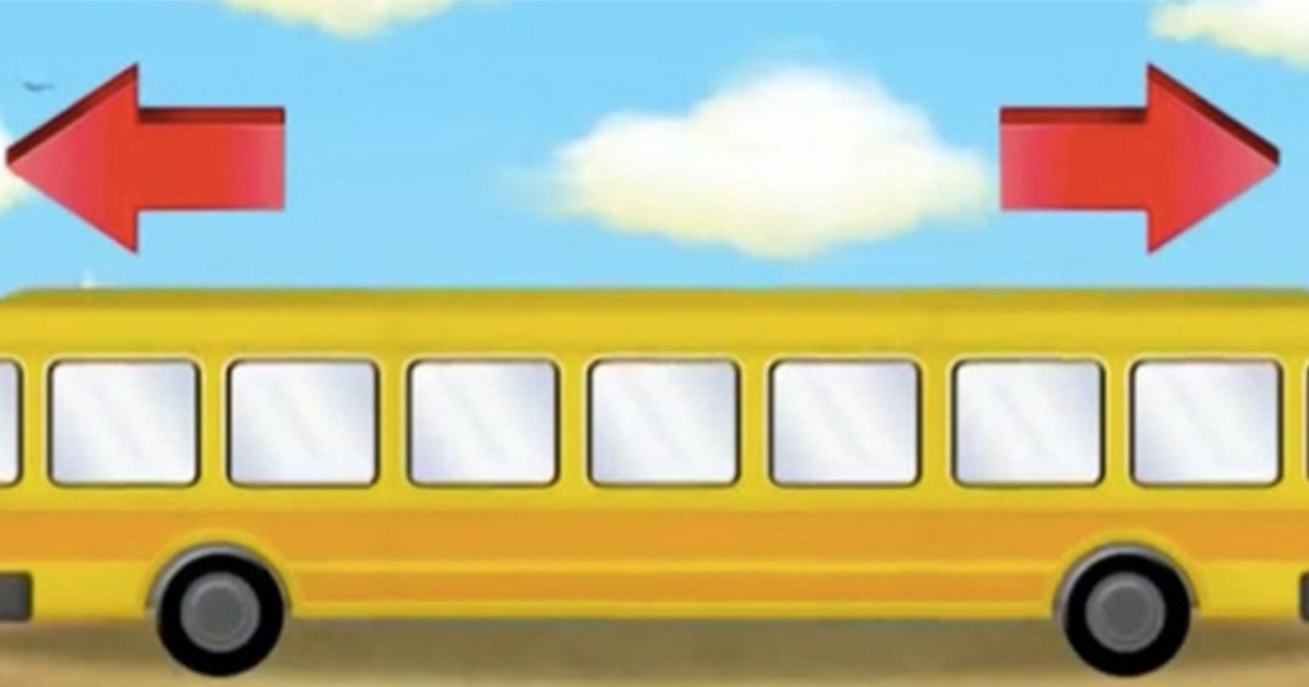 #EsViral: ¿para vos, en qué dirección va este autobús? | Curiosidades