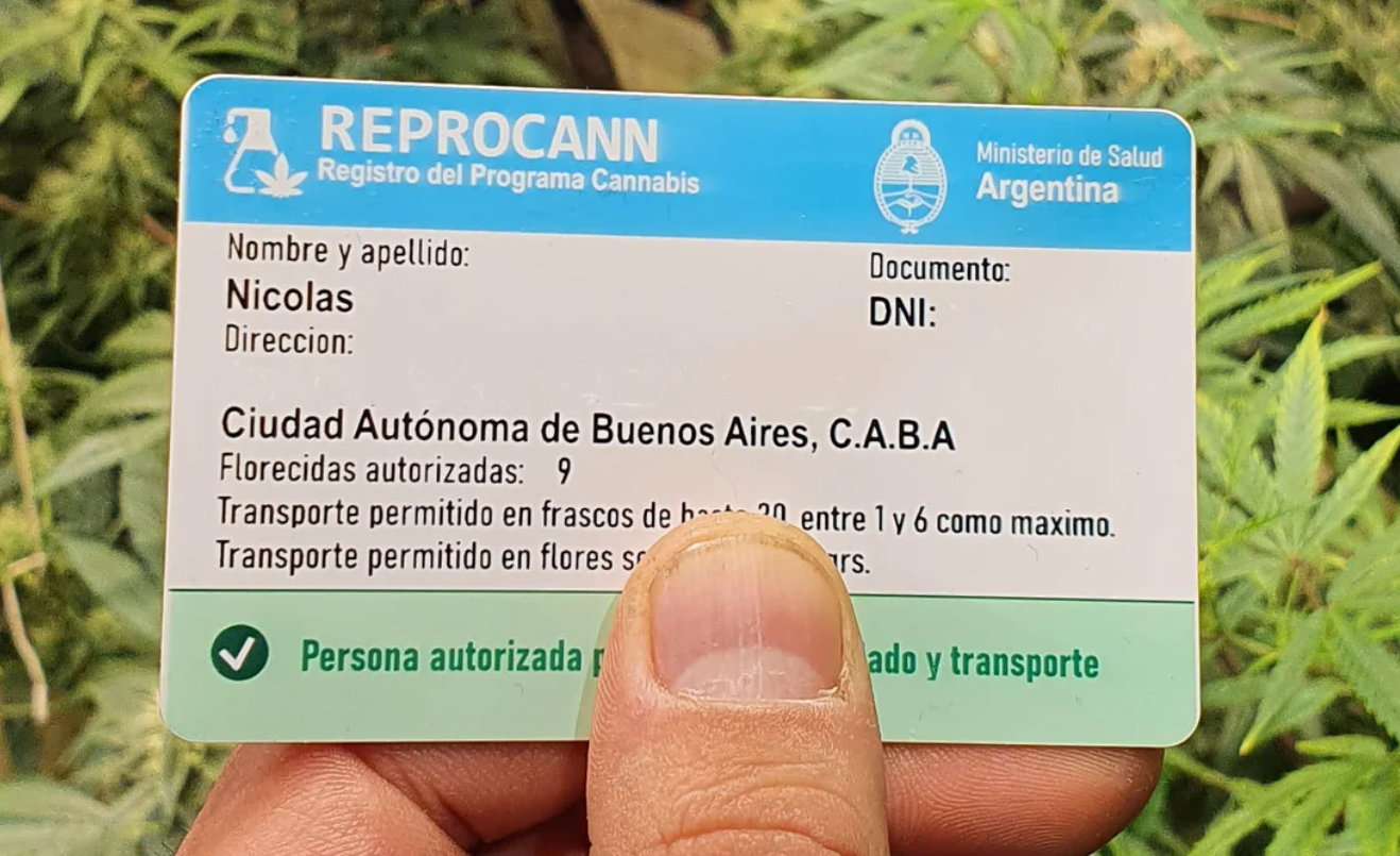 Cannabis: qué es y para qué sirve el Reprocann | Actualidad