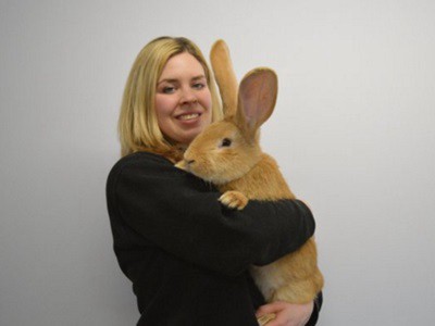 Un hogar para Atlas, el conejo gigante | Curiosidades