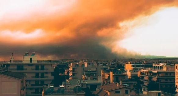 Día Mundial de la Tierra: las muertes por calor en Europa violaron derechos humanos | Clima, naturaleza y medio ambiente