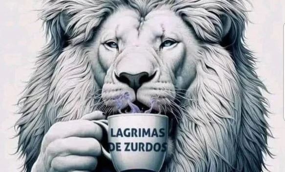 La desafiante reacción de Javier Milei a la marcha universitaria | Política