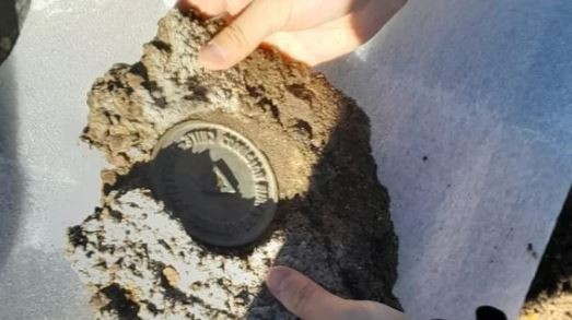 Rescataron una señal limítrofe de fines del siglo XIX en el Parque Nahuel Huapi | Actualidad