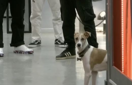 Gran Hermano: por qué Arturo deberá salir de la casa | Espectáculos