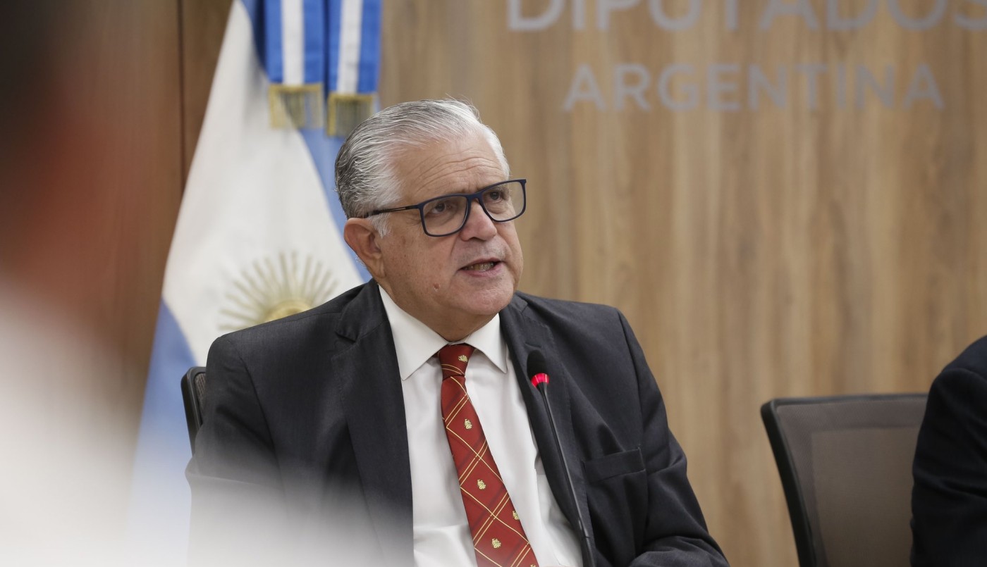 López Murphy sobre la ley de Bases: "Vamos a votar para que el Gobierno tenga los instrumentos" | Política