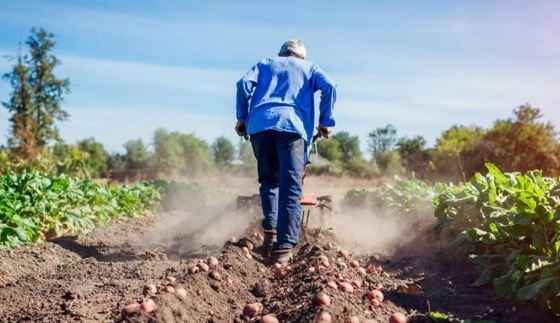 Entidades empresarias y del agro insisten en pedir rebaja de tasa para el cálculo de indemnizaciones | Política