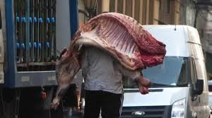 Córdoba: clausura y decomiso de 1.500 kilos de carne por faenamiento clandestino | Actualidad