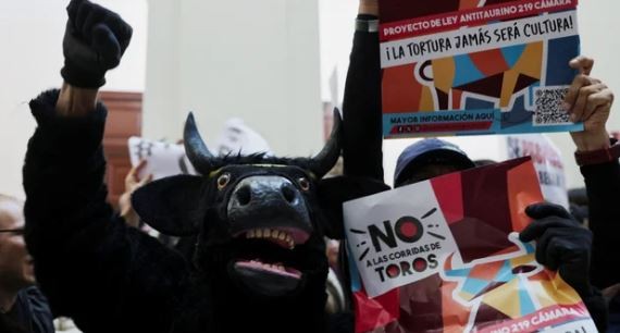 El Congreso de Colombia prohibió las corridas de toros | Internacionales