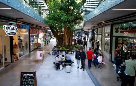 El consumo en la era Milei: ¿cómo cubre la clase media el poder adquisitivo perdido? | Economía