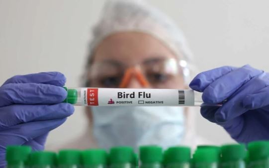 México aclaró que la persona con gripe aviar AH5N2 murió por padecimientos crónicos y no del virus | Internacionales