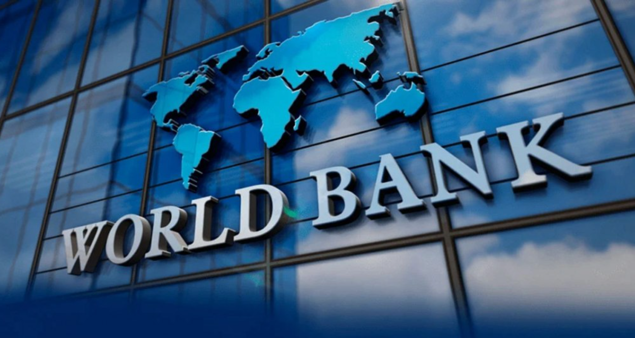 Según el Banco Mundial, la economía argentina caerá fuerte este año pero se recuperará el próximo | Economía