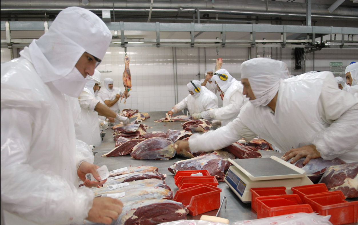 Consumo de carne vacuna: frigoríficos alertaron sobre una de las peores caídas en 30 años | Economía