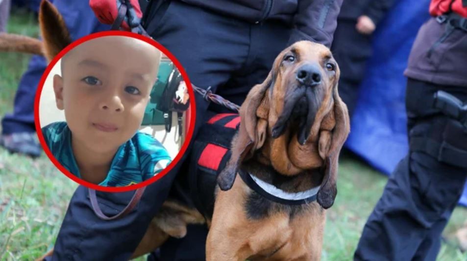 Desaparición de Loan, minuto a minuto: hallaron una media con sangre | Actualidad