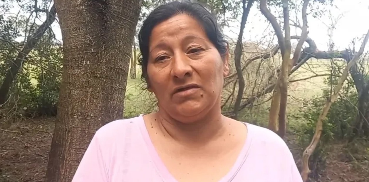Caso Loan: Laudelina habría confesado que el nene fue atropellado | Actualidad